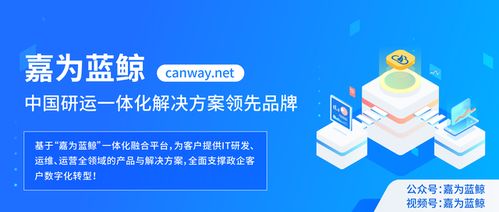 嘉為藍鯨榮登信息技術(shù)服務(wù)運維工具名錄及IT服務(wù)工具圖譜，彰顯卓越技術(shù)服務(wù)實力